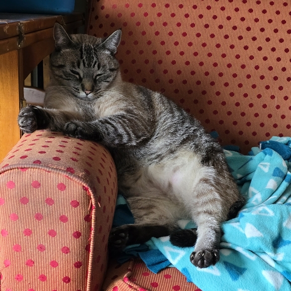 Meet your Posher, Luc - Picture 2 of 2